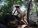 bosque03