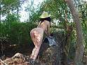 bosque04