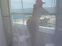 snapshot4